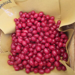 Corniolo