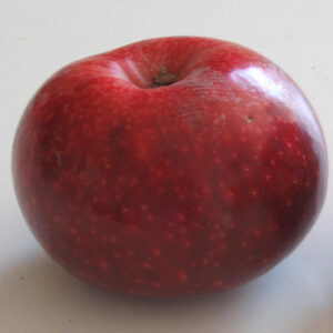 Drappo Rosso