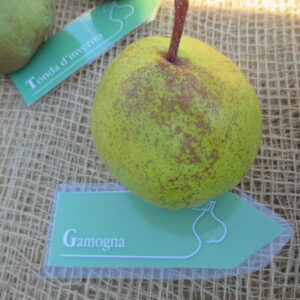 Gamogna